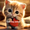 cherry_boom7_7