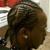 pharoahkingroose
