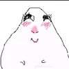 nntran._b