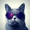 filiplacek5