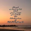 omsam636
