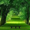 _qartal1