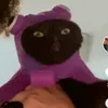 icommentalott
