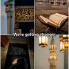 hady_7774