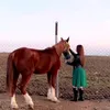 azha_chawkall_99