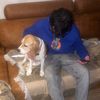 zeid.altr