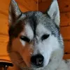 otec_nikolay