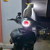 rpatabang08