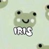 irisgabriela169