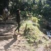 lilie_0058