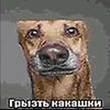 grizy_kakashke.fimoz