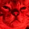 castielthecat