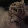 lika_2122