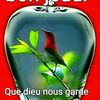 user1946123198381ndeya