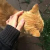 2foma