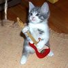 gattioo