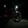 shamil_317