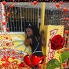 gracewilliams8988