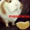 cobayo_mandarin23