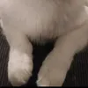 michideltiktok