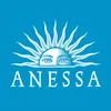 Anessa Official Store