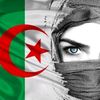 thelionessofalgeria1