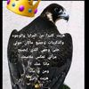 dy0ype5hjjwr