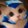 nhincaku