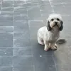 hemzaelkhattabi