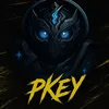 dj_pkey