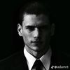 michealscofield212