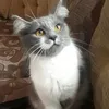 catwalkeruk