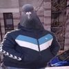badrcoolsigma