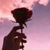 snnv_4