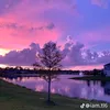 vivian_1_2