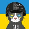 sashadubik33