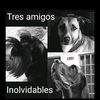yambomiguel