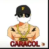caracol_g22
