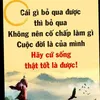 thanhnguyen12639