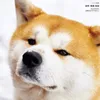 dy2edpvw5mlb