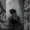 crish_zam