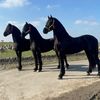 Rancho Coronado