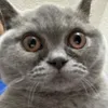 manistranger87