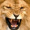 aloviddin10