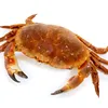 crabslock