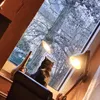 carmenscholz629