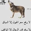 dyggwg718wxw