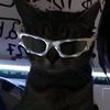 cxpuyyy
