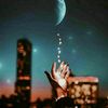 yassin.788