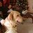 doby_wankenobi